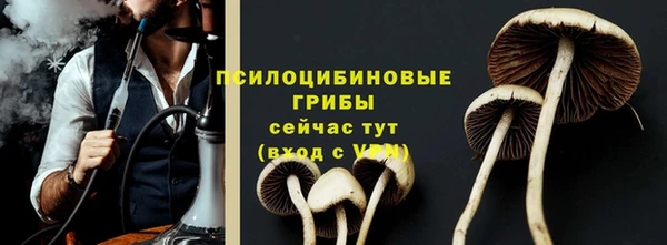прущий лед Кукмор