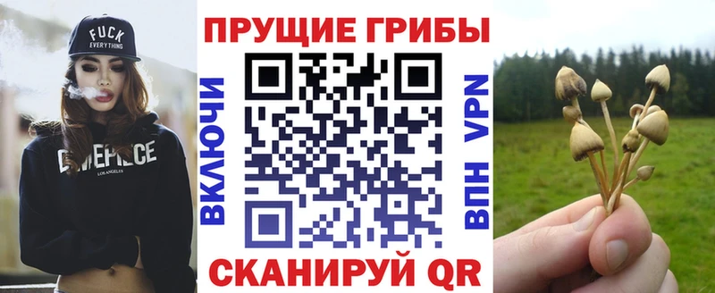 Галлюциногенные грибы GOLDEN TEACHER  Купить  Анадырь 